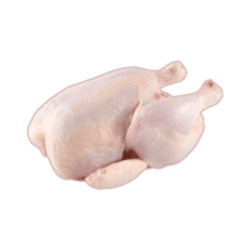 Raw Chicken Experiment